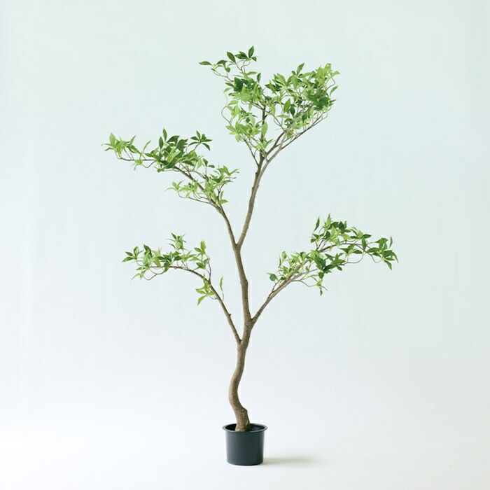 観葉植物 造花 アセビ BROWN 全高約190cm 大型 スリム フェイクグリーン 高級 本物そっくり リアル おしゃれ 和風 和モダン インテリア 人工観葉植物 アーティフィシャルグリーン オフィス 店舗 ホテル 旅館 開店祝い 室内 リビング 玄関 風水 庭木 あせび