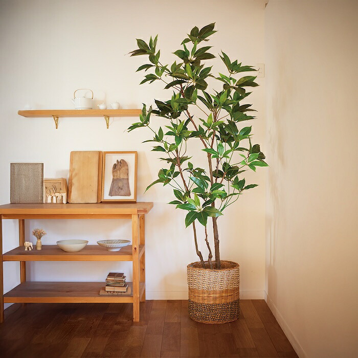観葉植物 造花 ツピタンサス BROWN 全高約210cm 大型 3本立ち フェイクグリーン 高級 本物そっくり リアル おしゃれ インテリア 人工観葉植物 アーティフィシャルグリーン オフィス 店舗 ホテル 開店祝い 室内 リビング 玄関 風水 ツピダンサス