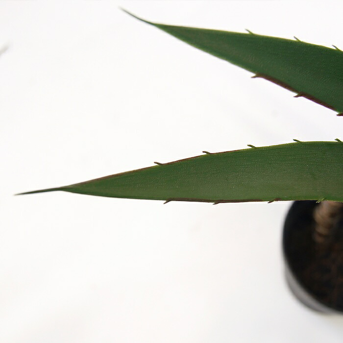 観葉植物 造花 ユッカ BROWN 全高約115cm 中型 フェイクグリーン 本物そっくり おしゃれ インテリア 人工観葉植物 アーティフィシャルグリーン オフィス 店舗 ホテル 開店祝い 室内 青年の木 エレファンティペス フェイク