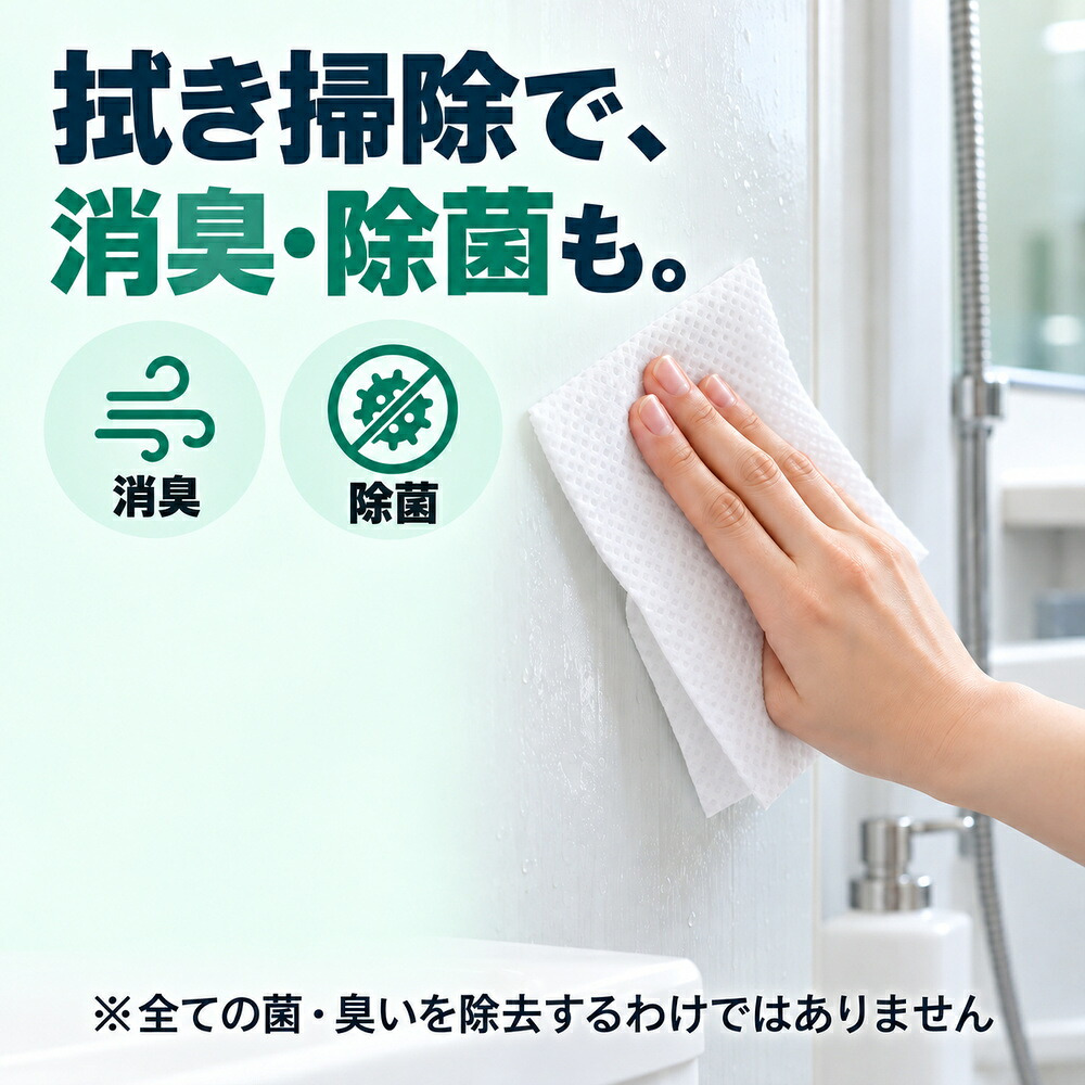 60枚入 カビトルデス 洗浄＆防カビシート ウェットタイプ 大判厚手 防カビ剤 消臭 除菌 カビ防止 お風呂掃除 浴室 掃除シート 拭き掃除 汚れ落とし