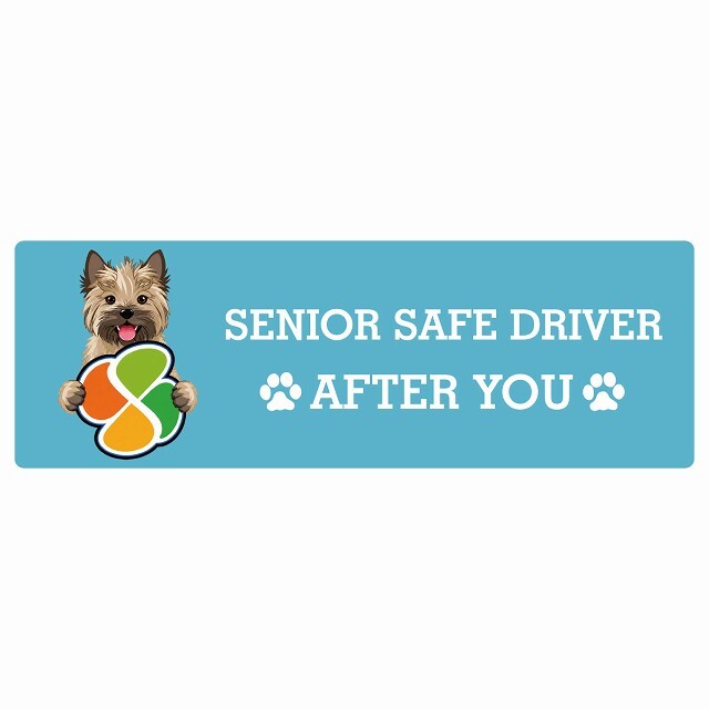 カーサイン 高齢者マーク SENIOR SAFE DRIVER ケアーンテリア ステッカー シール 長方形 15x5cm 肉球 日本製 車