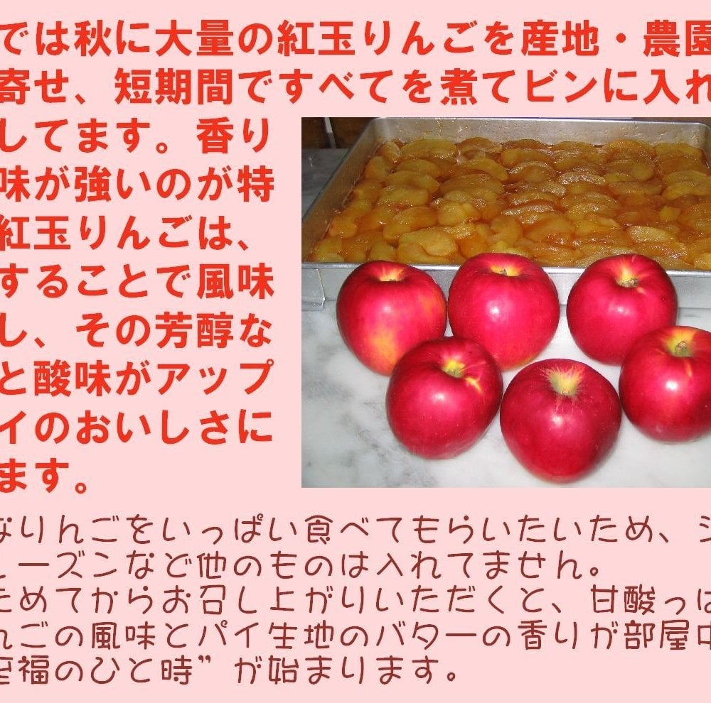 紅玉りんごのアップルパイ 【誕生日 バースデー 人気アップルパイ バースデーケーキ 誕生日ギフト 昔ながらの甘酸っぱ〜いアップルパイ バレンタインデー ホワイトデー 母の日 父の日 クリスマス クリスマスケーキ】