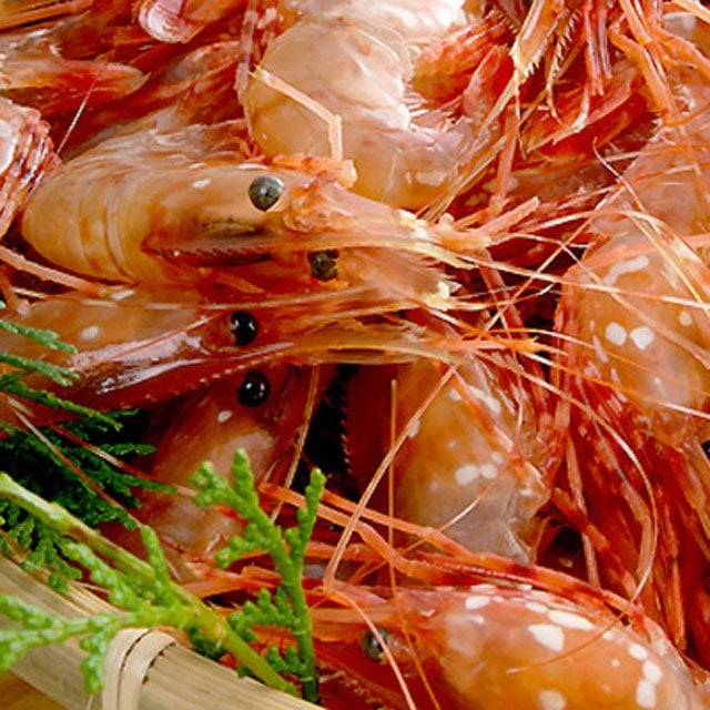 ボタンエビ 活 〆 オス 小サイズ 1kg 秋 北海道 噴火湾産 送料無料※沖縄は送料別途加算
