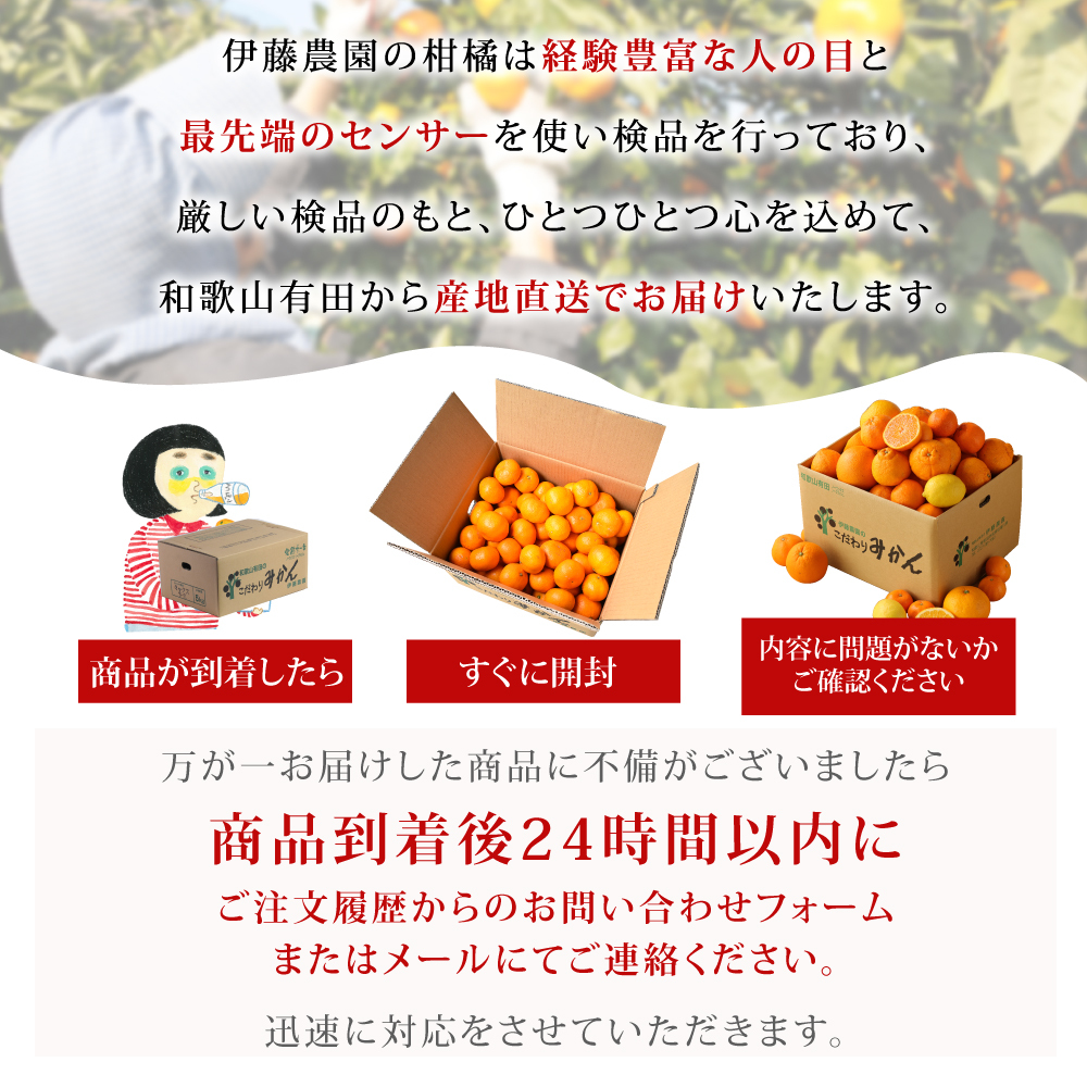 みかん 10kg 贈答用 秀品 特選 送料無料 和歌山 S～２L 混合 伊藤農園 小玉 大玉 中玉 手詰め 有田みかん 温州みかん 約70～100個 果物 柑橘贈答 ギフト 誕生日 結婚祝い 出産祝い 内祝い ギフト