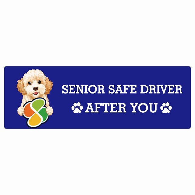 カーサイン 高齢者マーク SENIOR SAFE DRIVER ゴールデンドゥードル ステッカー シール 長方形 15x5cm 肉球 日本製 車
