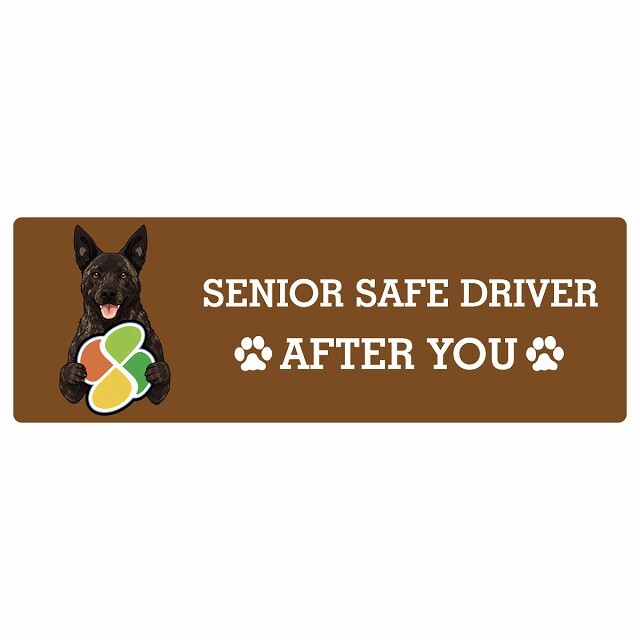 カーサイン 高齢者マーク SENIOR SAFE DRIVER 甲斐犬 ステッカー シール 長方形 20x6.7cm 肉球 日本製 車
