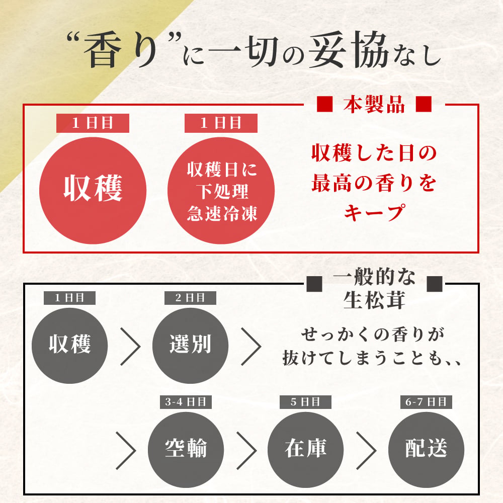 松茸ご飯の素セット 贈り物 ギフト 松茸 松茸ご飯 生松茸 冷凍 500g カット済み 土瓶蒸しにも 洗浄済み そのまま使える 高級料亭 マツタケ まつたけ 秋の味覚 プレゼント お祝い お返し 高級 無農薬 無添加 中国産