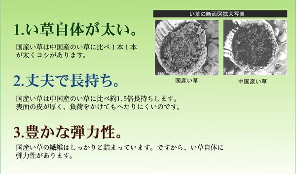 夏ラグ 夏用カーペット 純国産 い草花ござカーペット 『五風』 江戸間10畳(約435×352cm） 新生活