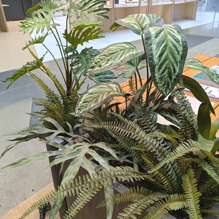 観葉植物 造花 フレボディウム BROWN 全高約65cm 卓上・小型 フェイクグリーン 本物そっくり おしゃれ インテリア 人工観葉植物 アーティフィシャルグリーン オフィス 店舗 ホテル 開店祝い 室内 ミニ ブルースター シダ フェイク