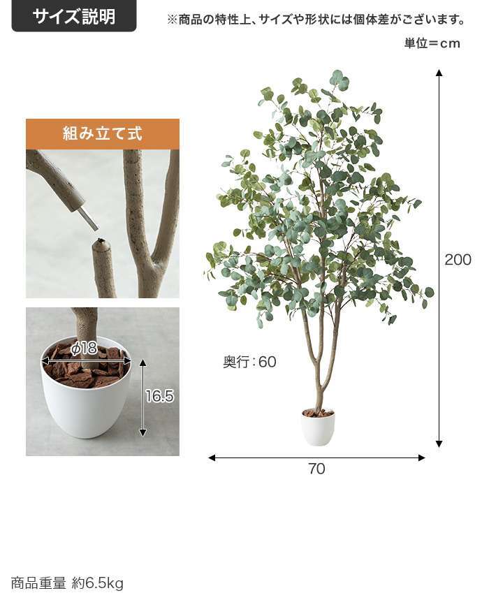 【高さ200cm】光触媒人工観葉植物 ユーカリ 幅70cm×奥行60cm×高さ200cm オフィス 天然木 ポリエステル 組立品 お部屋に気軽に飾れて空間を美しく彩るフェイクグリーン 本物の植物のようなリアルな質感とインテリアに馴染む風合いが魅力です