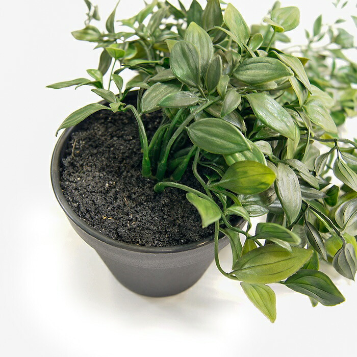 観葉植物 造花 フィカス シャングリラ BROWN 全長約74cm フェイクグリーン 高級 本物そっくり リアル おしゃれ 卓上 インテリア 人工観葉植物 アーティフィシャルグリーン 垂れ下がる つる オフィス 店舗 開店祝い 室内 リビング 玄関 トイレ 風水 フェイク