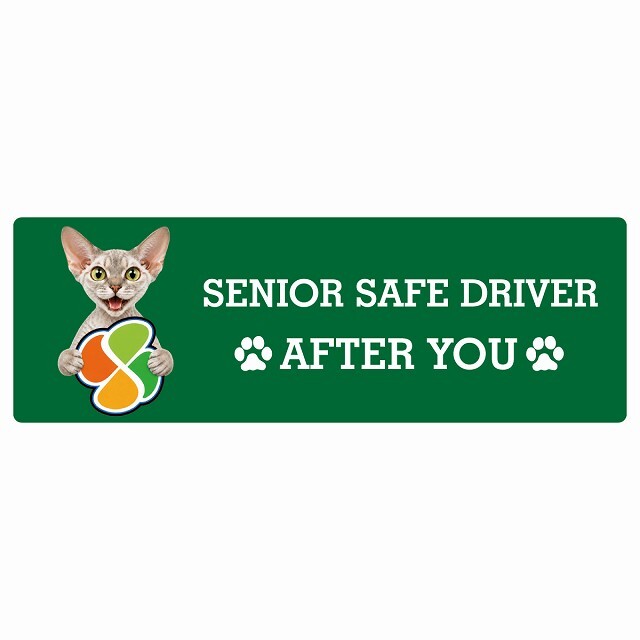 カーサイン 高齢者マーク SENIOR SAFE DRIVER デボンレックス ステッカー シール 長方形 15x5cm 肉球 日本製 車