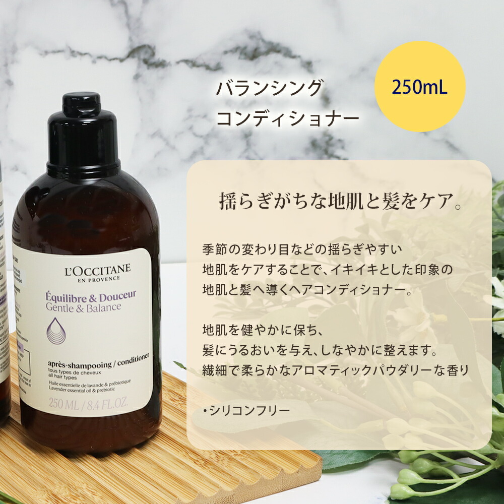 ロクシタン バランシング シャンプー 300mL コンディショナー 250mL アヴェダ AVEDA ミニパドルブラシ 3点セット 地肌ケア ヘアケア ツヤ髪 ダメージ補修 人気ブランド 正規品 ギフト プレゼント 贈り物 女性 男性 誕生日 記念日