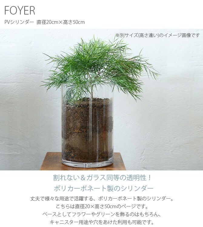 FOYER ホワイエ PVシリンダー 直径20cm×高さ50cm