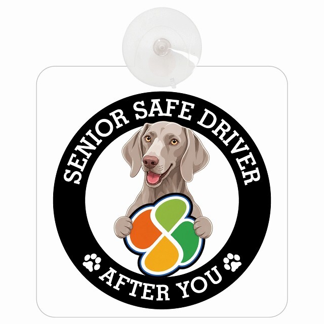 カーサイン 高齢者マーク SENIOR SAFE DRIVER ワイマラナー 車内用 吸盤タイプ 収れん火災防止タイプ 肉球 日本製 車 ステッカー