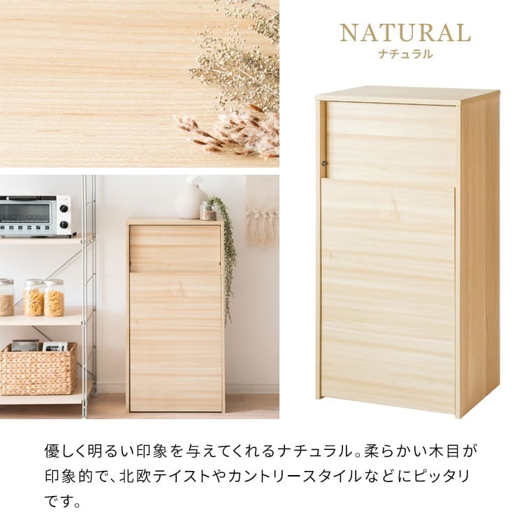 ゴミ箱 ダストボックス キャスター付き 45L 北欧 シンプル モダン 大容量 フタ付き プッシュ扉式 ごみ箱 DB-F1100 Helios ヘリオス スリム 奥浅 薄型 縦型 木製 木目調 人気 おすすめ おしゃれ ランキング キッチン 収納 棚
