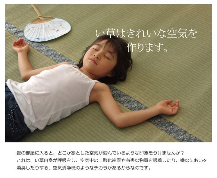夏ラグ 夏用カーペット 純国産 い草 上敷き カーペット 糸引織 『柿田川』 江戸間6畳(約261×352cm）