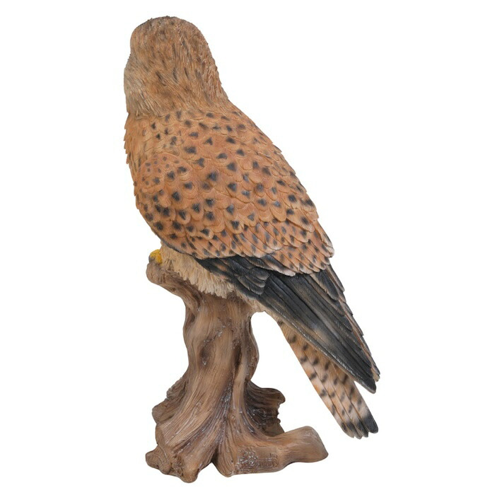 置物 鳥 チョウゲンボウ 高さ21.5cm woobia ウービア 野鳥 リアル おしゃれ 玄関 インテリア オブジェ ガーデン 北欧 ナチュラル 猛禽 動物 アニマル 癒し 鳥好き 出窓 棚 玄関飾り プレゼント ギフト バードウォッチング