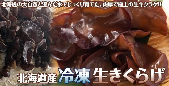 北海道産 冷凍生きくらげ 蝦夷ぷる美人 1kg(200g×5個入) 菌床栽培・無農薬 ぷりぷり肉質生キクラゲ 木耳 きのこ キノコ 送料無料 ※沖縄は送料別途加算