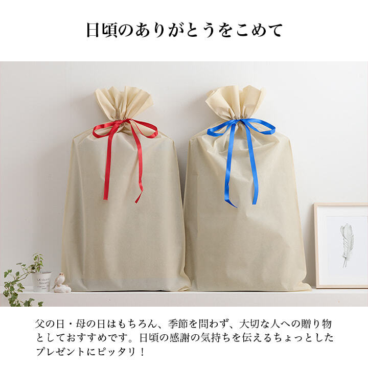 マット マットレス 枕 セット い草 国産 日本製 ボリューム くつろぎ プレゼント ギフト ラッピング 吸汗 調湿 消臭 お手入れ簡単 マット約70×150cm 枕約50×30cm ボリューム感のある 国産い草マットレス 抗菌防臭 ポリエステル 綿