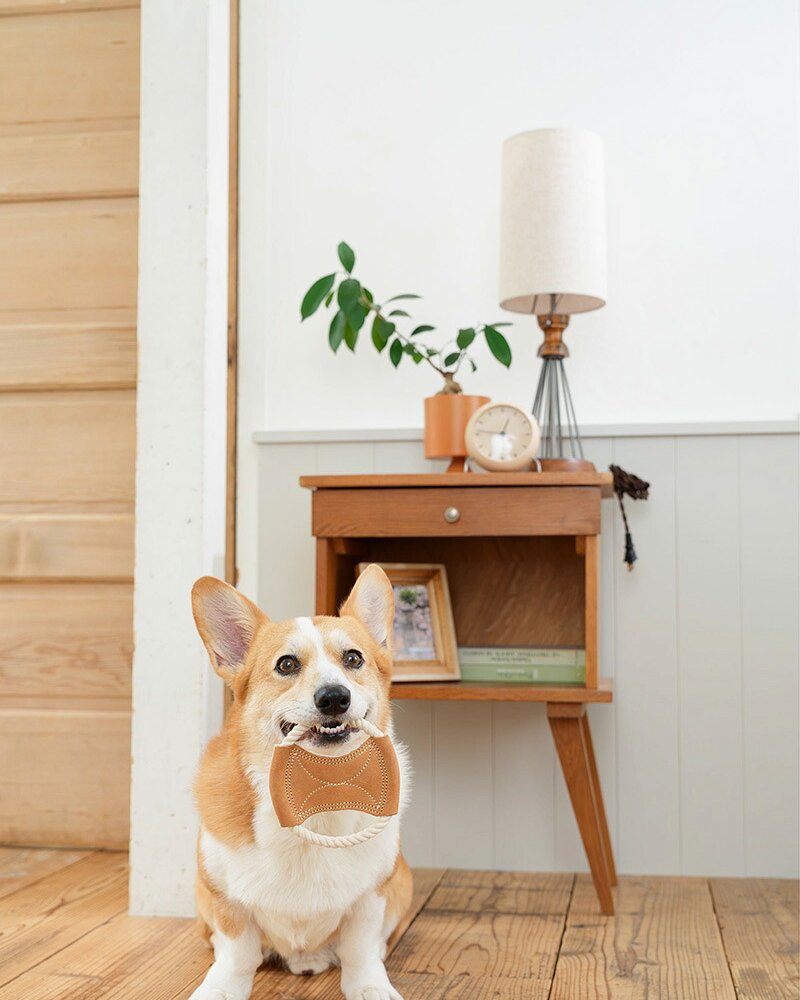 DADWAYPET ダッドウェイペット FAD ファッド レザー＆コットン・トイ ロープディスク 犬用おもちゃ