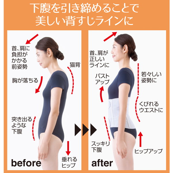 お医者さんのがっちり下腹ベルト アルファックス 下腹 ぽっこりお腹 引き締め 骨盤ベルト 補正下着 ウエストシェイプ 姿勢矯正 腰サポーター コルセット メッシュ 通気性 苦しくない 男女兼用 薄手 薄い 3段ベルト