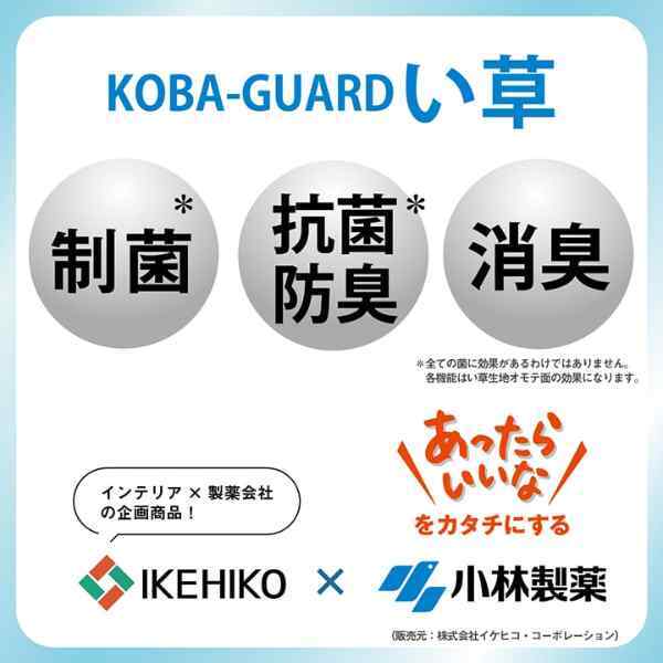 ラグ 小林製薬 持続性抗菌剤 KOBA-GUARD 制菌 抗菌防臭  滑り止め 不織布 夏 い草 グラデーション 約190×190cm