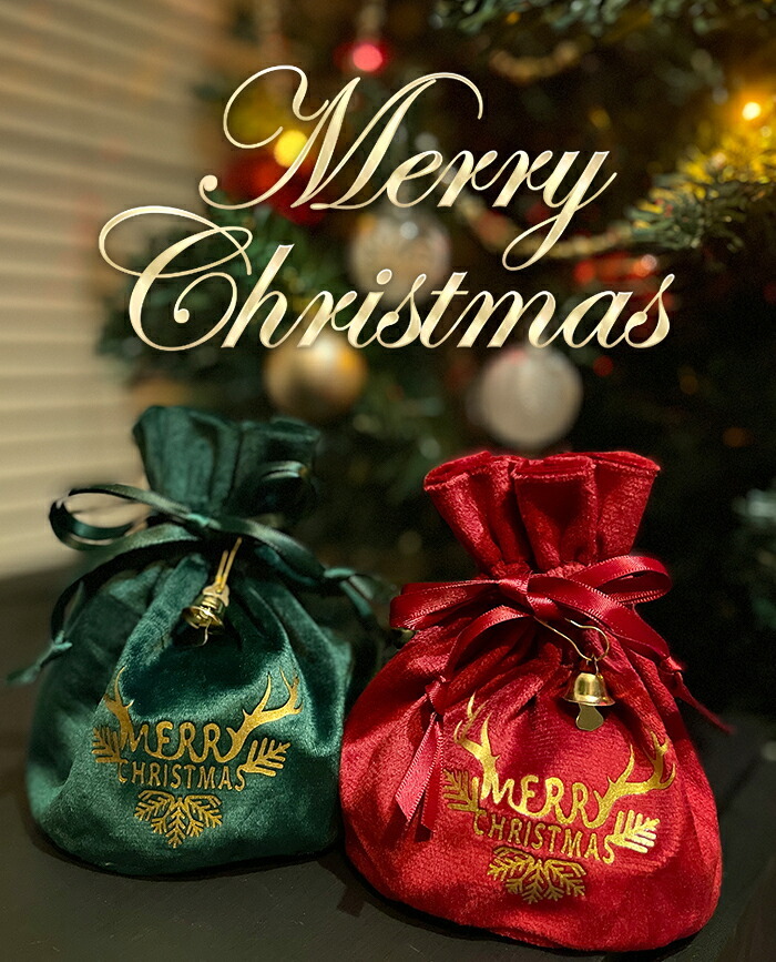 クリスマス ラッピング 巾着 バッグ 袋 リボン 贈り物 サプライズ 記念日 彼女 彼氏 プレゼント おしゃれ