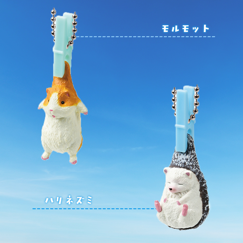 【5種類セット】 ガチャ ガチャガチャ コンプリート 中身 洗濯日和2