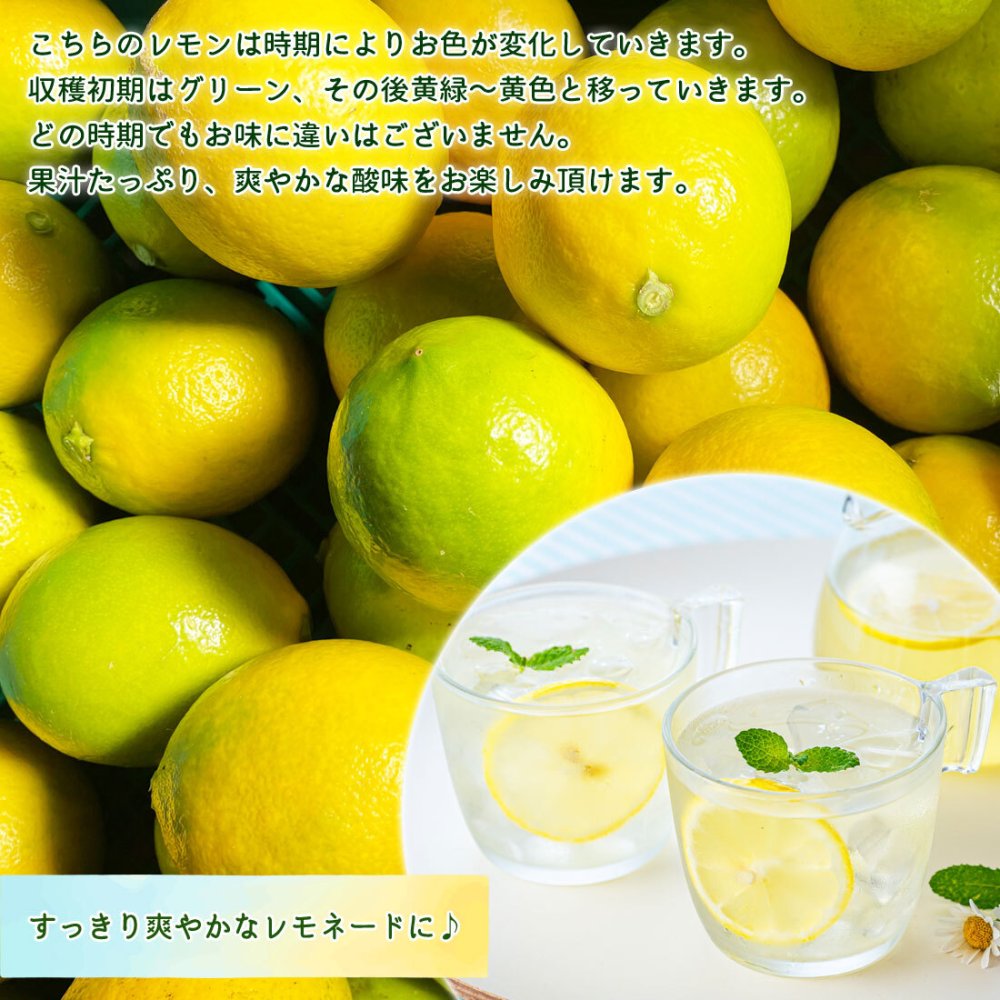 マイヤーレモン グリーンレモン 3kg 栽培期間中 無農薬 高知産 レモン 檸檬 国産 皮ごと食べられる 国産レモン 産地直送 高知県宿毛市 産直 グルメ 出荷時期によりグリーンからイエローに変化します【送料無料】
