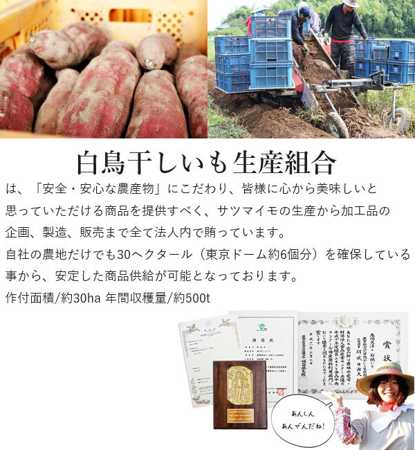 干し芋 紅はるか 120g お試しサイズ 茨城県産 国産 無添加 ほしいも 干しいも 乾燥芋 ヘルシースイーツ ヘルシーフード 送料無料
