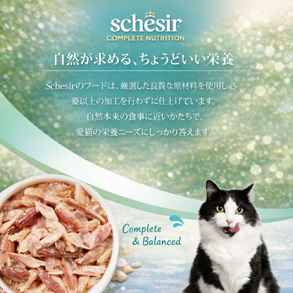 Schesir シシア ツナ 猫缶 キャットフード 85g×12個