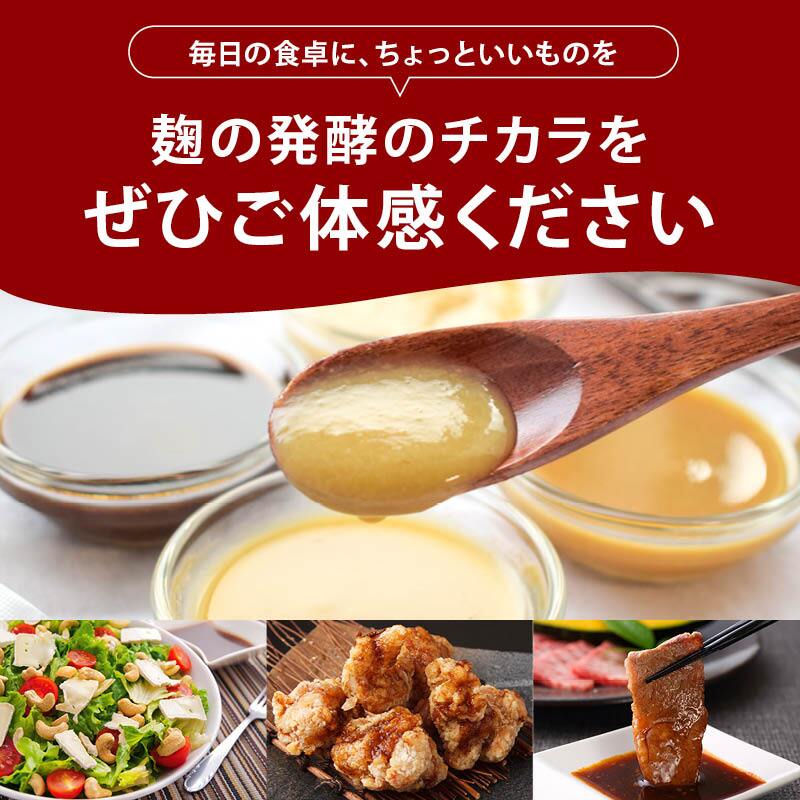 前田家 麹調味料 ＆ 焼肉のたれ 5種セット 塩麹 / 醤油麹 / たまねぎ麹 / にんにく麹 / 焼肉のたれ 計750g 各150g 麹 糀 こうじ 米麹 調味料 発酵食品 メール便 送料無料 MAEDAYA