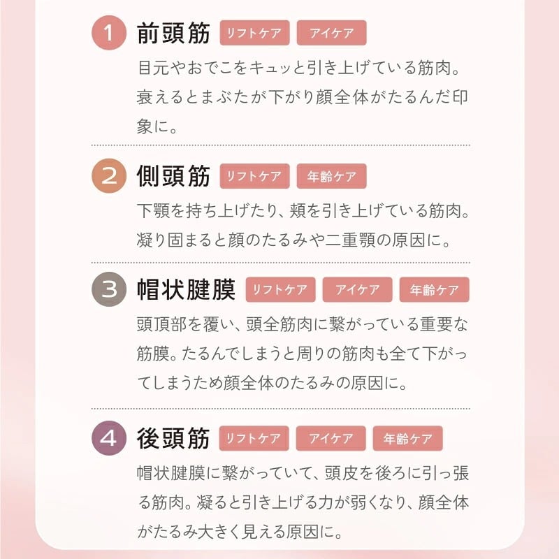 美顔器 EMS&RF リフトブラシボーテ EMS RF 頭皮ケア フェイスケア 全身ケア 防水 お風呂 バスタイム 赤色LED 光美容 顔 頭 デコルテ 二の腕 足 美容家電 女性 母 妻 誕生日 母の日 プレゼント 美容好き 実用的 ギフト