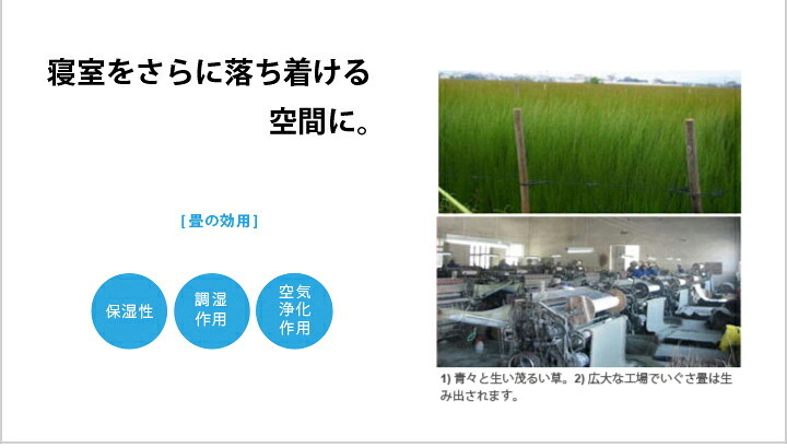 ベッド 寝具 畳 ヒノキ 日本製 シングル セミダブル ダブル コンセント付き 棚付き ひのき イ草 桧 檜 本畳 低ホルムアルデヒド 高さ調節 国産 天然イ草