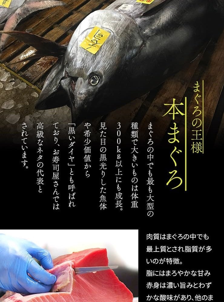 【送料無料・時短ギフト】天然 本マグロ 大トロ 500g お刺身用 2～4サク入！口の中でとろける脂と濃厚な旨みが絶品！解凍レシピ付き（鮪 お年賀 敬老の日 お中元 お歳暮 プレゼント グルメ 贈り物 母の日 父の日 御祝 内祝い 景品 コンペ ご褒美 誕生日 お祝い 出産祝い 結婚 上司 男 女友達 新築 引越 送別会 定年 退職祝い 還暦 喜寿 海鮮 おつまみ） [[天然本鮪大トロ500g]