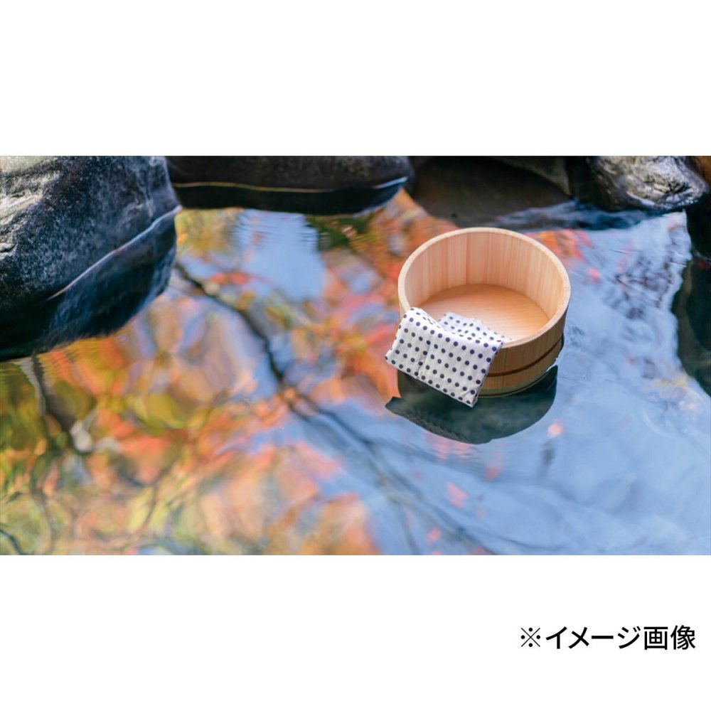 炭酸力の薬用入浴剤 詰め合わせ ギフトセット 計4点入 入浴剤 個包装 入浴剤セット バスグッズ【北海道・沖縄県・離島 配送不可】