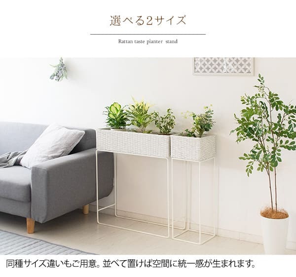 ガーデン エクステリア フラワースタンド 室内 白 プランタースタンド ラタン 玄関 幅60 花台 籐 高さ70 プランター ハイ スリム 1段 おしゃれ 高め アイアン モダン インテリア スチール 北欧 室内用 玄関先 玄関前 玄関ホール 多肉 家具