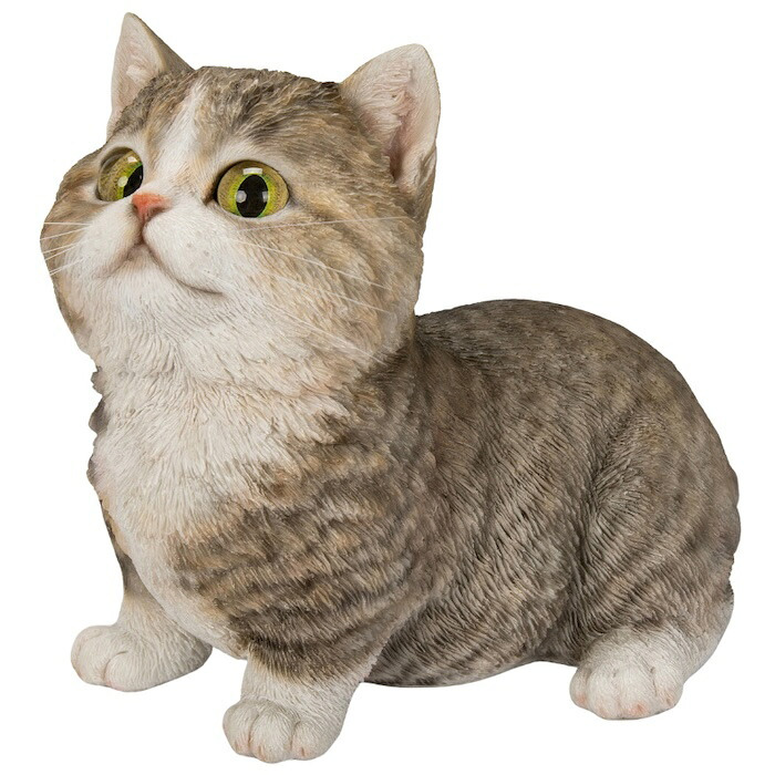 置物 猫 見上げるマンチカン ブラウン 幅16cm woobia ウービア リアル かわいい おしゃれ 玄関 インテリア オブジェ ガーデン マンチカン キジトラ ネコ 動物 アニマル 癒し 棚 北欧 リビング プレゼント ギフト 新築祝い 猫好き