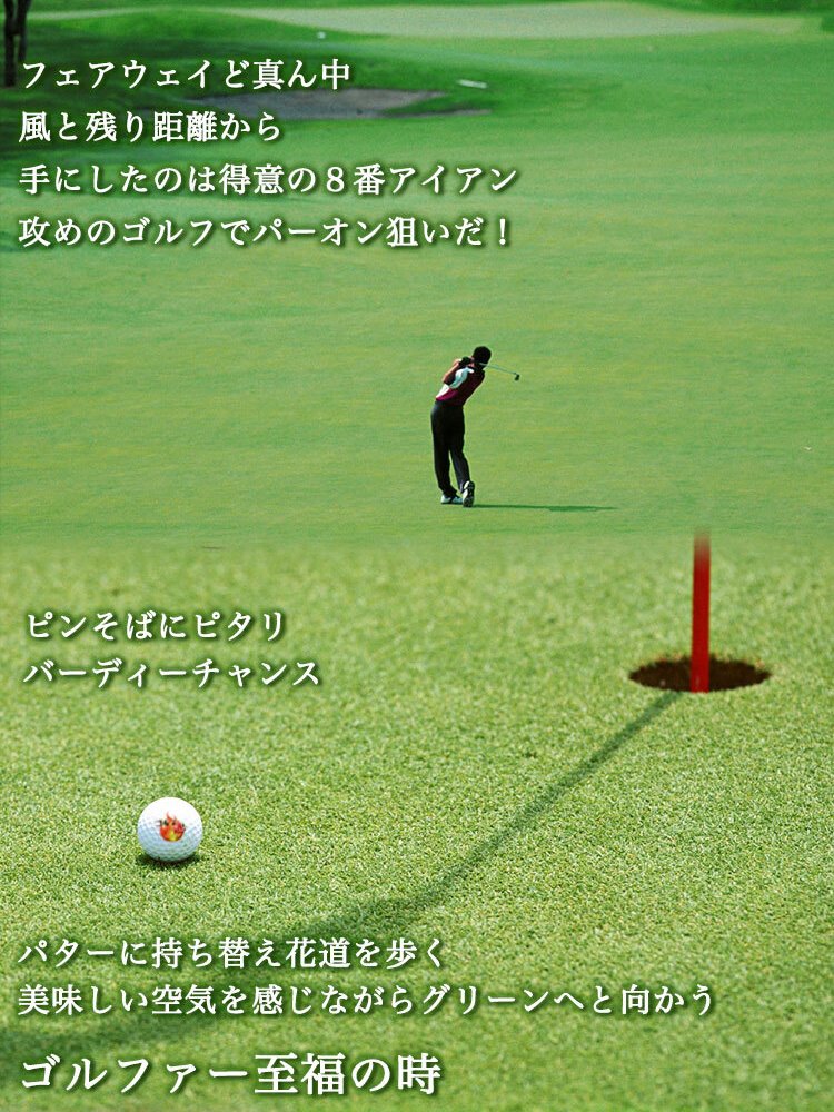 名入れ ゴルフマーカー グリーンフォーク 【 ステンレス 切り文字 グリーンフォーク 「PRO」1個 ＆ ゴルフマーカー 1個 】 約6営業日で発送 贈り物 ギフト プレゼント 記念品 父の日 敬老の日 退職祝い 誕生日 マーカー フォーク セット 名前 栄転祝い 昇進祝い 送別会 お祝い 上司 部下 友人 友達 親 父 母 女性 男性 20代 30代 40代 50代 60代 GHOGolf