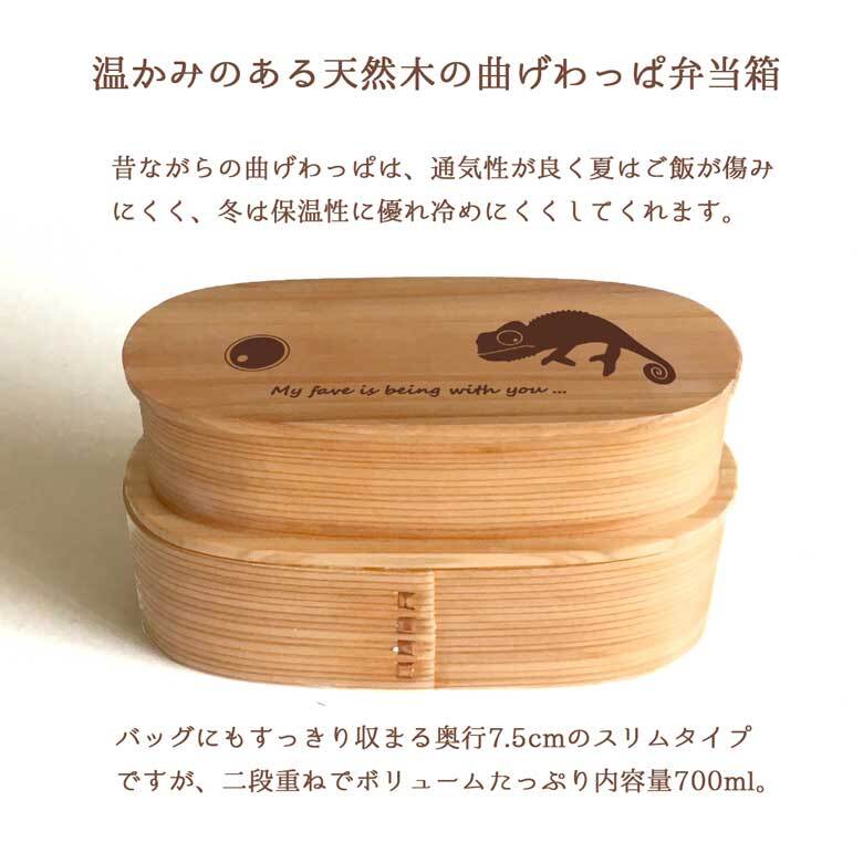 Fave カメレオン スリム入子型 曲げわっぱ 弁当箱  天然木 二段 わっぱ 木製 スリム オリジナル  爬虫類 ペット 動物 アニマル ホワイトデー