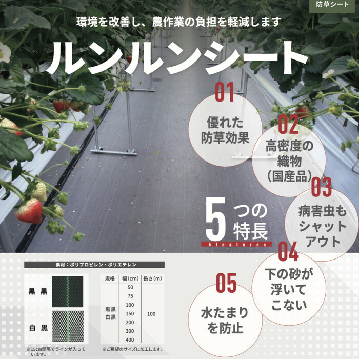ルンルンシート 黒黒 長さ100m 防草シート 農用シート 草抑え 除草シート 雑草防止シート 雑草対策 農業資材 防ぐ 作物 野菜 果物 畑 農業 農園 農家 園芸 マルチング