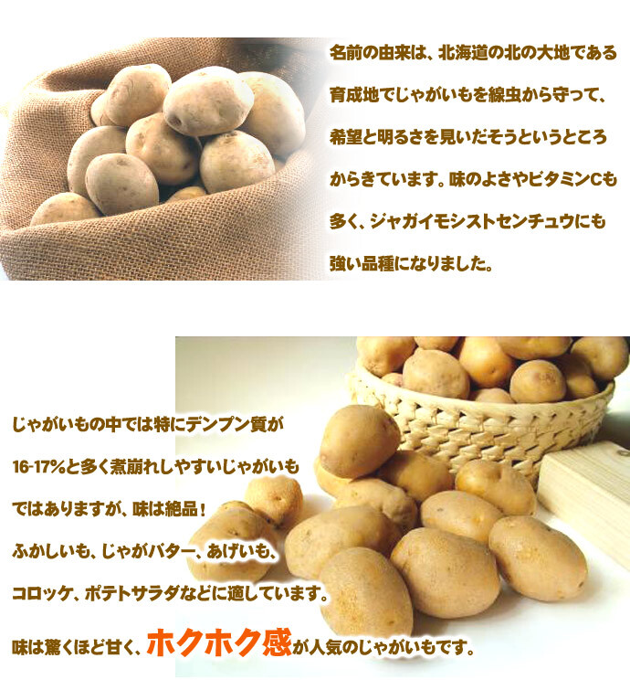 きたあかり 9.5-10kg 訳あり 北海道 じゃがいも S-Mサイズ 送料無料  ※沖縄は送料別途加算 キタアカリ