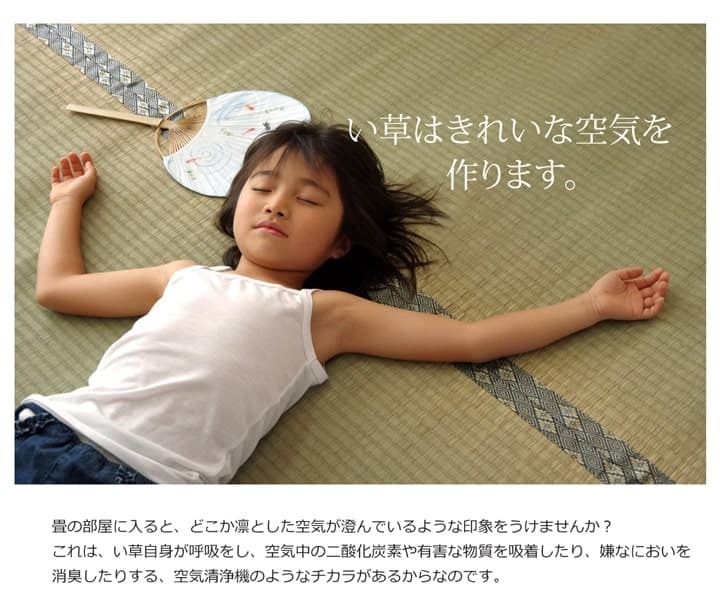 夏ラグ 夏用カーペット 純国産 い草 上敷き カーペット 糸引織 『湯沢』 団地間4.5畳(約255×255cm）