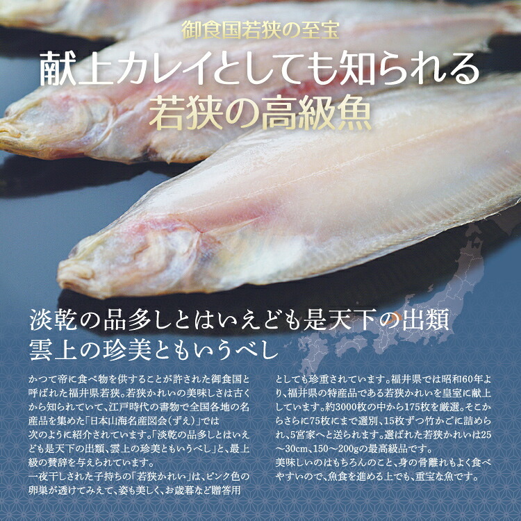 若狭カレイ 一塩干し ミニサイズ 3尾 3セット 6セット カレイ 一夜干し 保存料不使用 干物 天神講 天神様