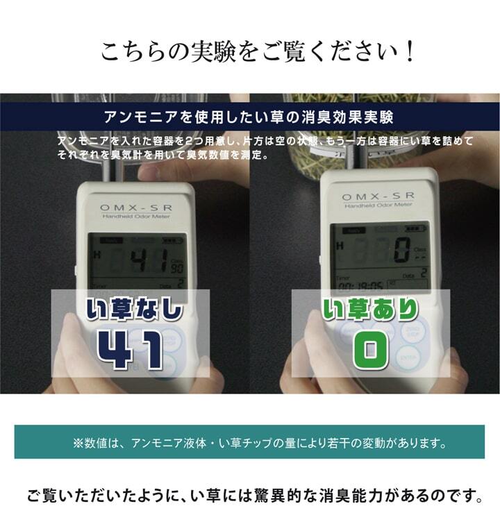 ラグ カーペット 純国産 い草玄関マット 『Fランクス』 約60×90cm（裏:ウレタン）