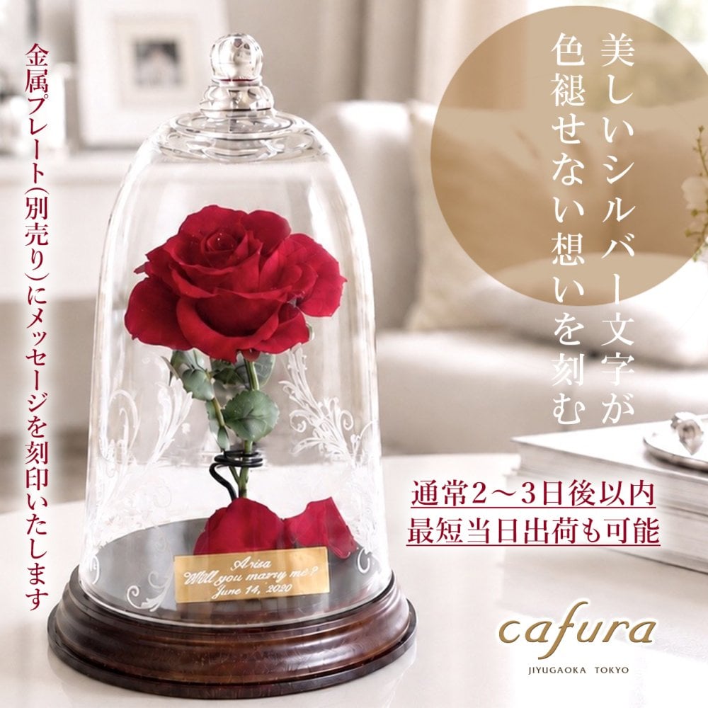 美女と野獣 ガラスドーム プリザーブドフラワー 一輪のバラ 名入れプレート 結婚記念日 プロポーズ 誕生日 ギフト 妻 彼女 恋人 友達 記念品 赤バラ ピンクのバラ 黄色いバラ 白バラ 青いバラ 銀婚式 還暦 喜寿 米寿 古希 ブリザードフラワー