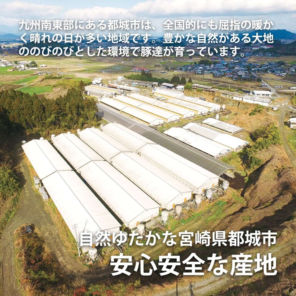 【食べ比べ】豚肉ヘルシーしゃぶしゃぶお試しセット 1kg【宮崎県産くりぷ豚】