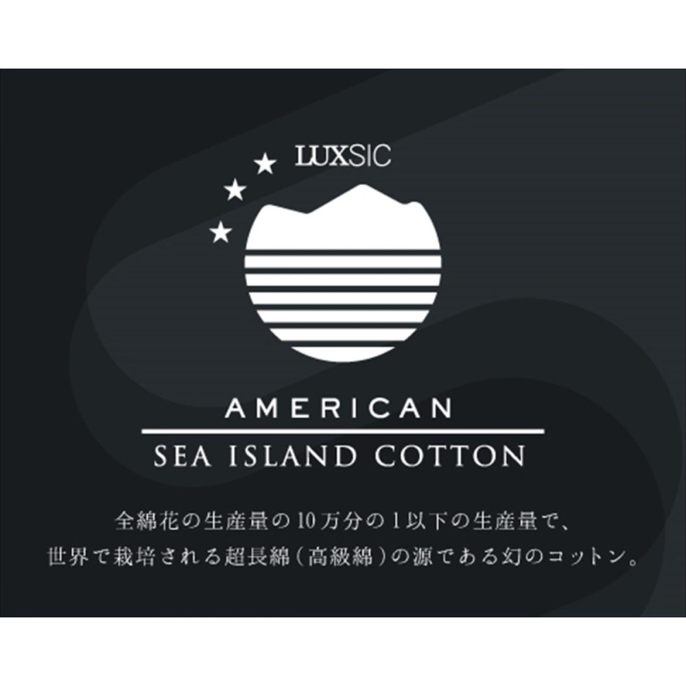 今治アメリカン シーアイランドコットン フェイスタオル1P タオル 今治産 海島綿 コットン 綿100％【北海道・沖縄県・離島 配送不可】