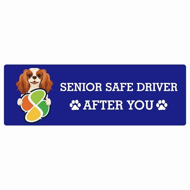 カーサイン 高齢者マーク SENIOR SAFE DRIVER キャバリアキングチャールズスパニエル ステッカー シール 長方形 20x6.7cm 肉球 日本製 車